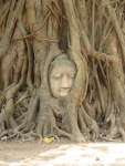 Wat Mahathat , Ayutthaya, Thailand